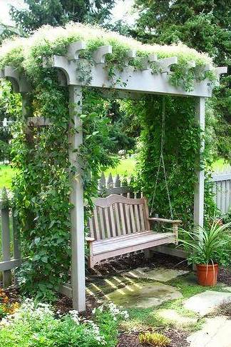 花园设计时可以设计个葡萄架休息还是观赏？