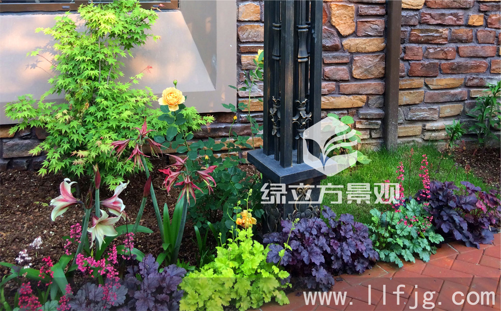 别墅花园养护，花园设计，庭院设计，植物修剪，庭院绿化植物
