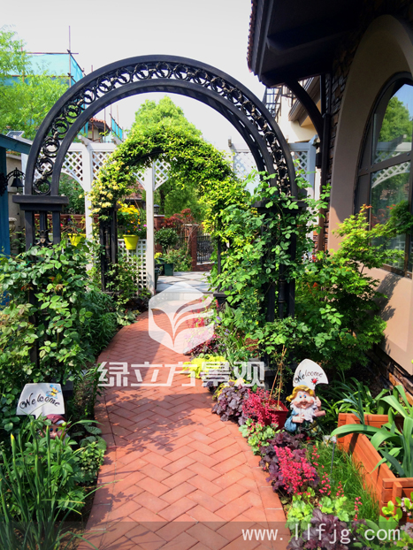 花架拱门，园艺小径，矾根，宿根植物，欧式拱门，爬藤月季